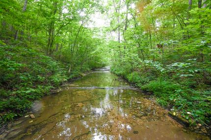 Farm and Ranch for sale in Douglas County, Missouri