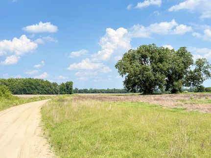 Farm and Ranch for sale in Marion County, South Carolina