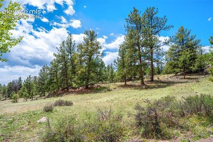Timberland Property for sale in Park County, Colorado