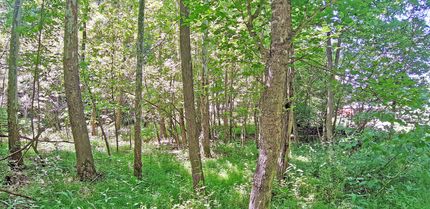 Land for sale in Gilmer County, West Virginia