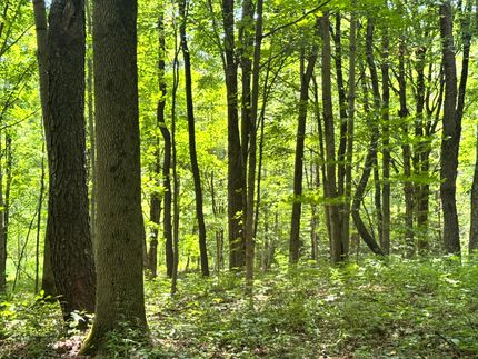Farm and Ranch for sale in Oswego County, New York