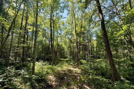 Farm and Ranch for sale in Washburn County, Wisconsin