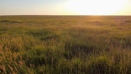 Farm and Ranch for sale in Pawnee County, Kansas