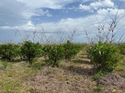 Farm and Ranch for sale in Hendry County, Florida