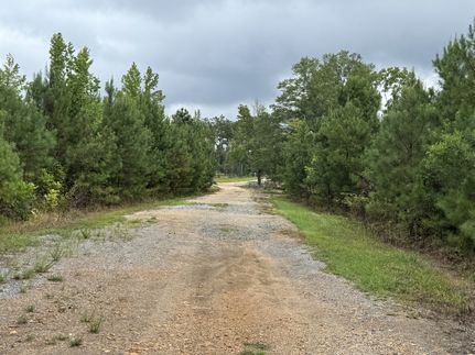 Land for sale in Clay County, Alabama