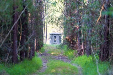Land for sale in Jasper County, Texas