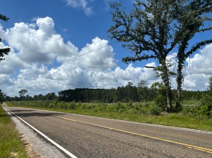 Land for sale in Newton County, Texas