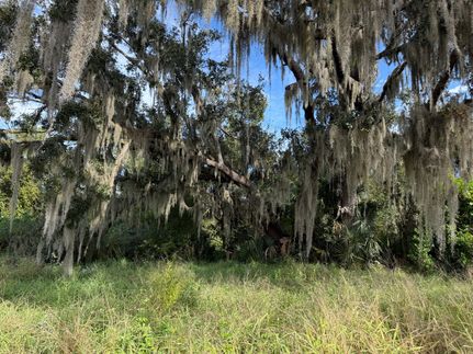 Land for sale in Hardee County, Florida