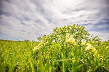 Recreational Property for sale in Franklin County, Kansas