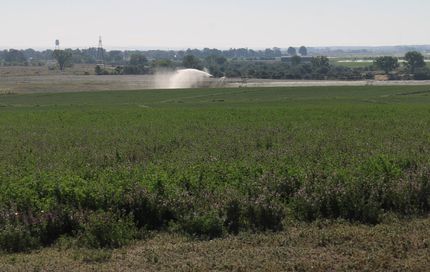 Farm and Ranch for sale in Goshen County, Wyoming