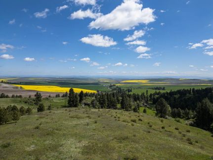 Land for sale in Idaho County, Idaho