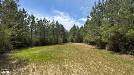 Undeveloped Land for sale in George County, Mississippi