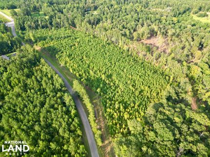 Recreational Property for sale in Clarke County, Alabama