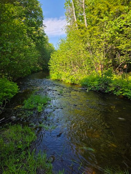 Farm and Ranch for sale in Aroostook County, Maine