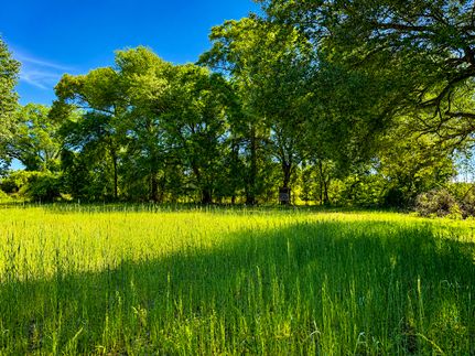 Timberland Property for sale in Baker County, Georgia
