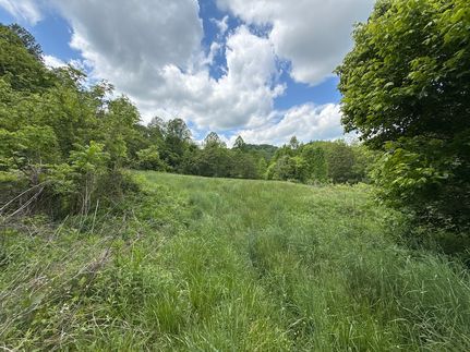 Land for sale in Hancock County, Tennessee