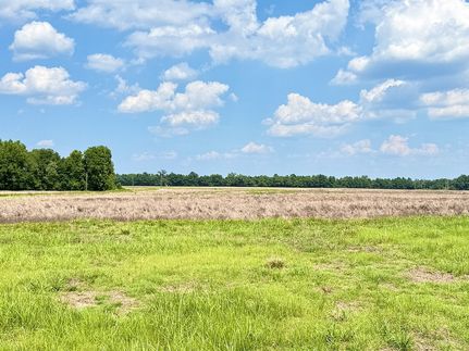 Farm and Ranch for sale in Marion County, South Carolina