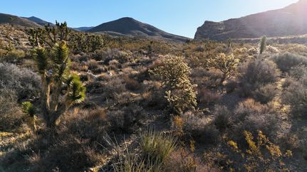 Farm and Ranch for sale in Washington County, Utah