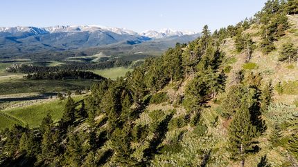 Recreational Property for sale in Stillwater County, Montana