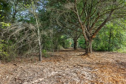 Land for sale in Milam County, Texas