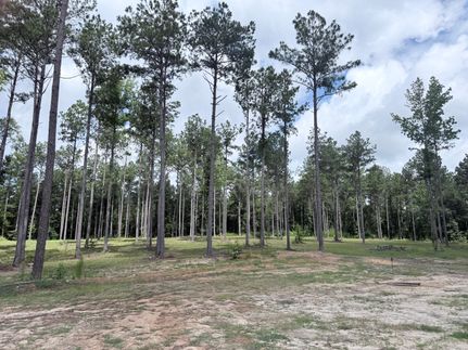 Undeveloped Land for sale in Troup County, Georgia