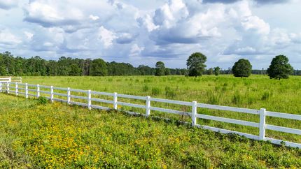 Farm and Ranch for sale in Tyler County, Texas