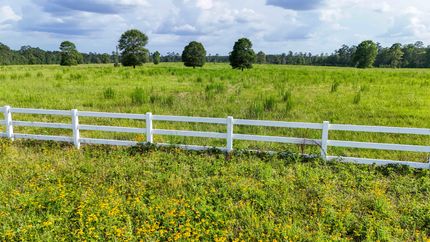 Land for sale in Tyler County, Texas