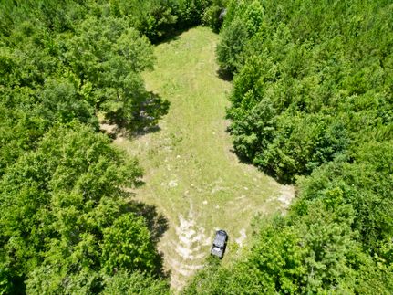 Land for sale in Butler County, Alabama