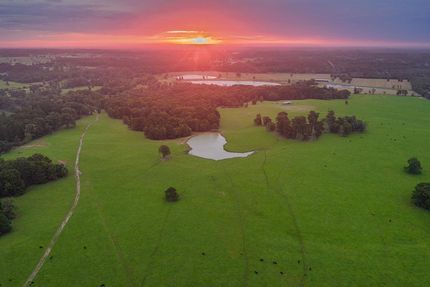 Timberland Property for sale in Harrison County, Texas