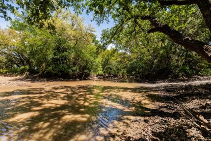 Timberland Property for sale in Coleman County, Texas