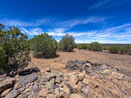 Farm and Ranch for sale in Navajo County, Arizona