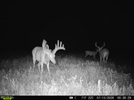Farm and Ranch for sale in Bourbon County, Kansas