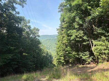 Recreational Property for sale in Dawson County, Georgia