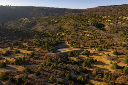 Land for sale in Union County, New Mexico