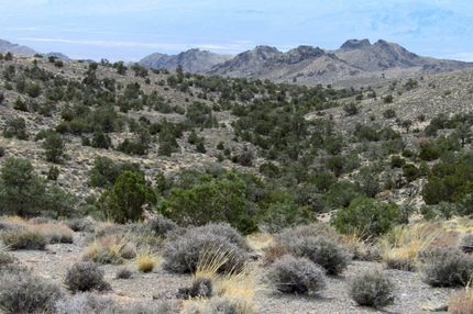 Recreational Property for sale in Pershing County, Nevada