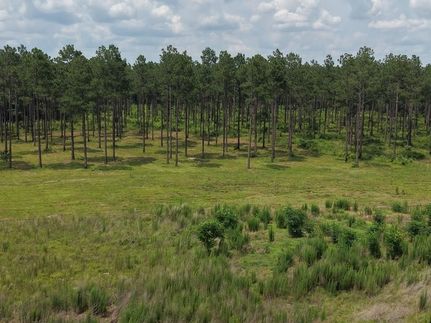 Farm and Ranch for sale in Early County, Georgia