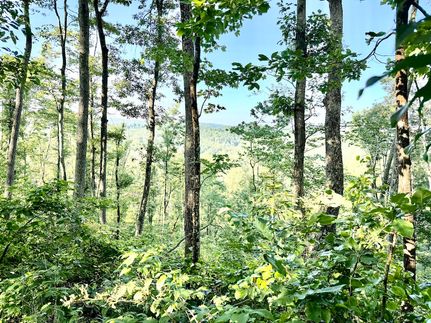 Farm and Ranch for sale in Raleigh County, West Virginia