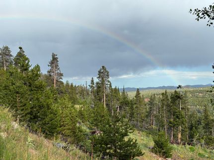 Undeveloped Land for sale in Larimer County, Colorado