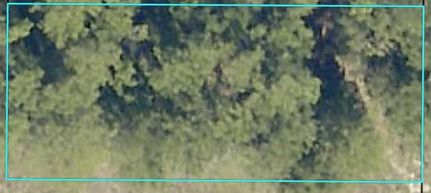 Farm and Ranch for sale in Okaloosa County, Florida