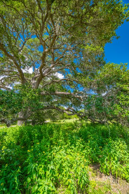 Farm and Ranch for sale in Lavaca County, Texas