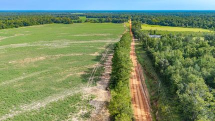 Undeveloped Land for sale in Grady County, Georgia