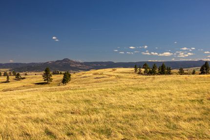 Farm and Ranch for sale in Crook County, Wyoming