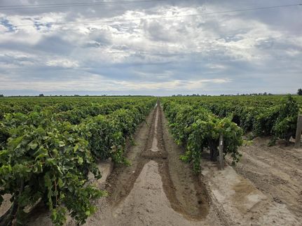 Farm and Ranch for sale in Fresno County, California