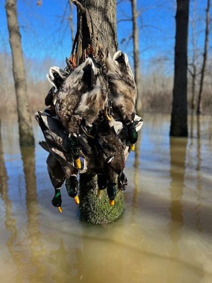 Recreational Property for sale in Prairie County, Arkansas
