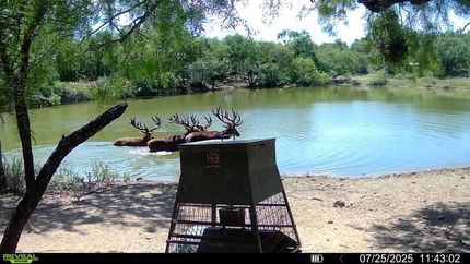 Land for sale in Coleman County, Texas
