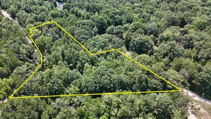 Undeveloped Land for sale in Clare County, Michigan