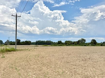 Homesite for sale in Williamsburg County, South Carolina