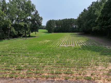 Land for sale in Nash County, North Carolina