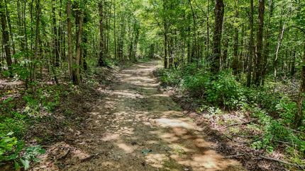 Undeveloped Land for sale in Wayne County, Tennessee