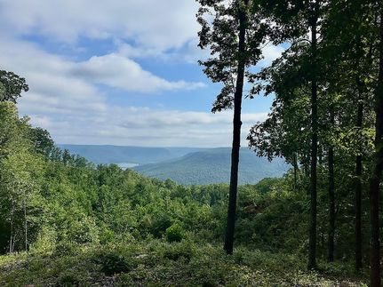 Timberland Property for sale in Marion County, Tennessee
